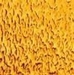 Wissmach medium amber Mystic - GW 48 M 41 x 54