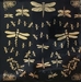 Gold decal Dragonflies 